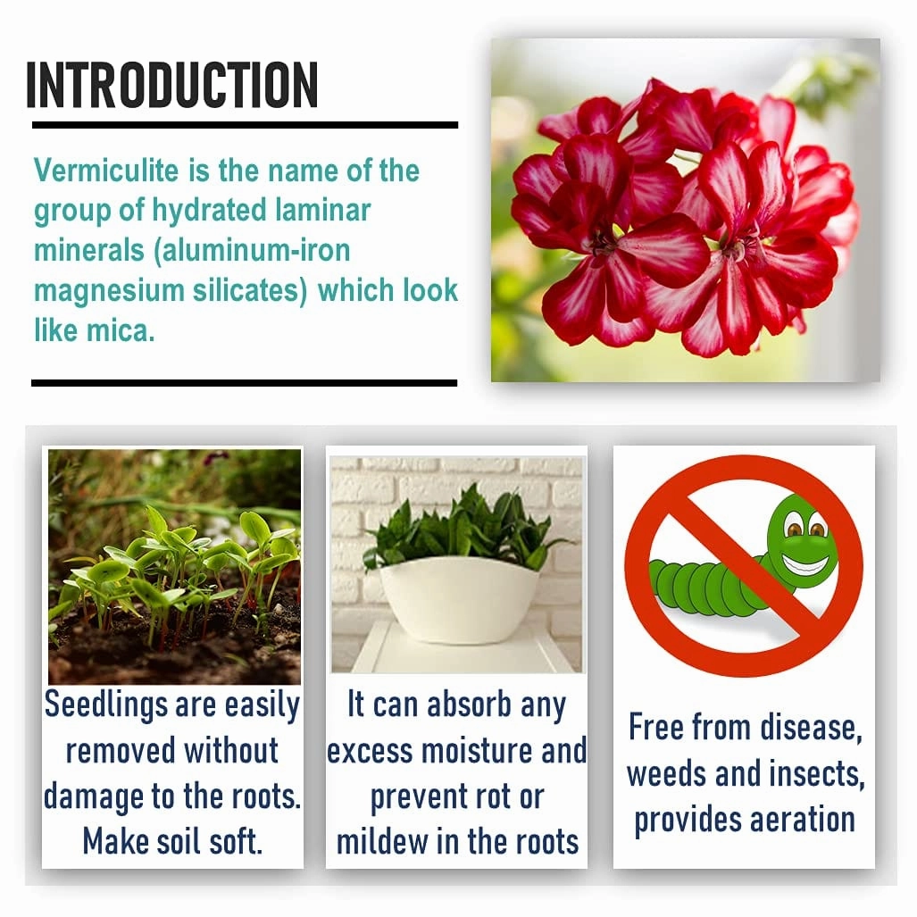 Horticultural Perlite And Vermiculite Combo