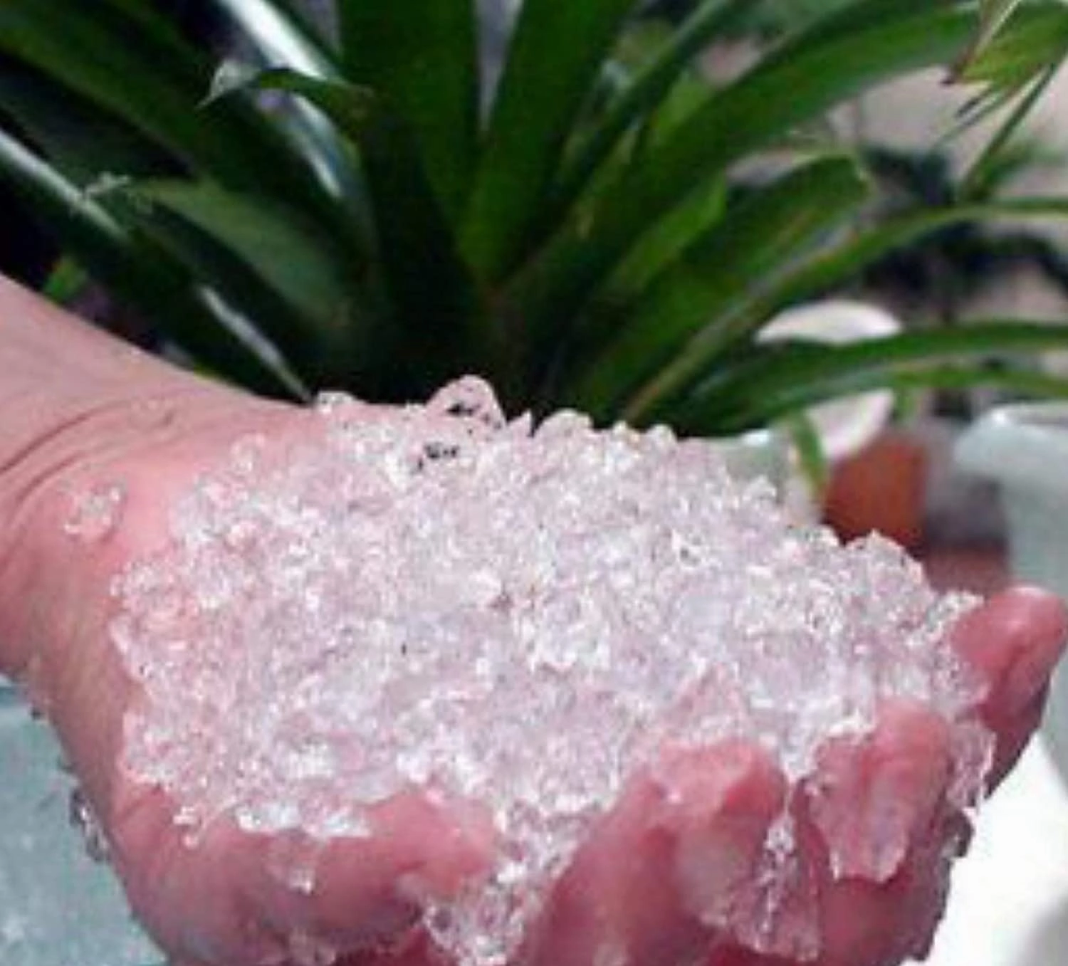 Hydrogel (225 GMs) For 45 pots