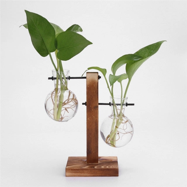 Hydroponic Desktop Plant Vase