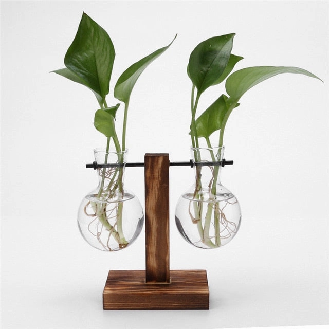 Hydroponic Desktop Plant Vase