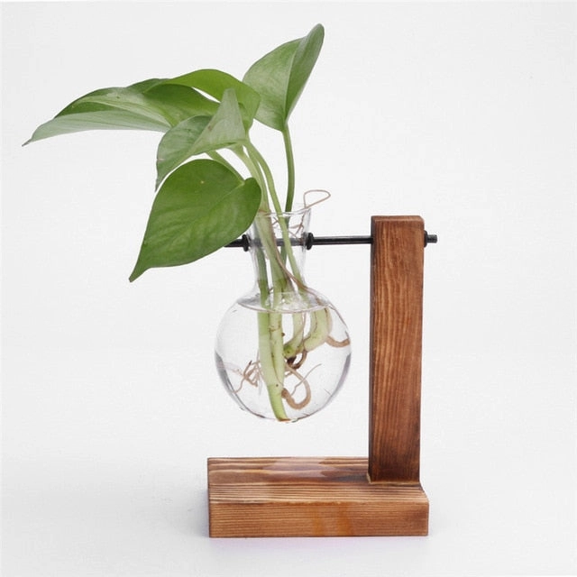 Hydroponic Desktop Plant Vase