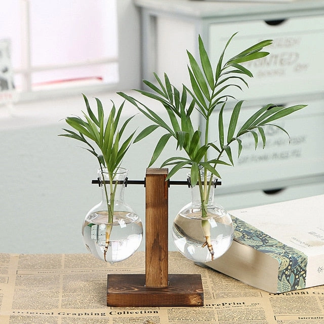 Hydroponic Plant Vases Vintage