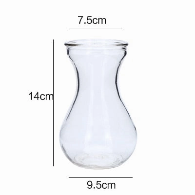 Hydroponic Plants Vase