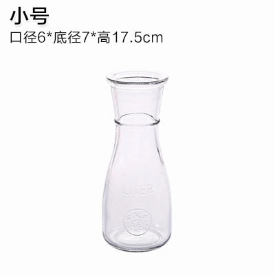 Hydroponic Plants Vase