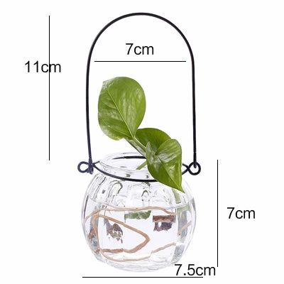 Hydroponic Plants Vase
