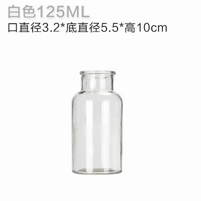 Hydroponic Plants Vase