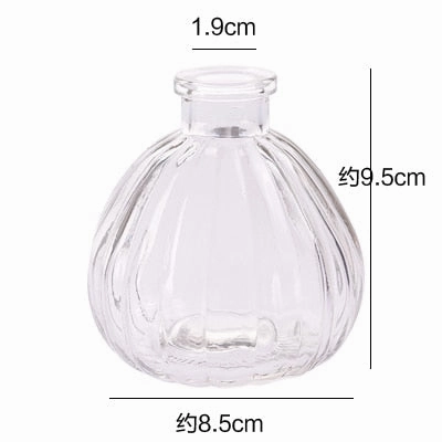 Hydroponic Plants Vase