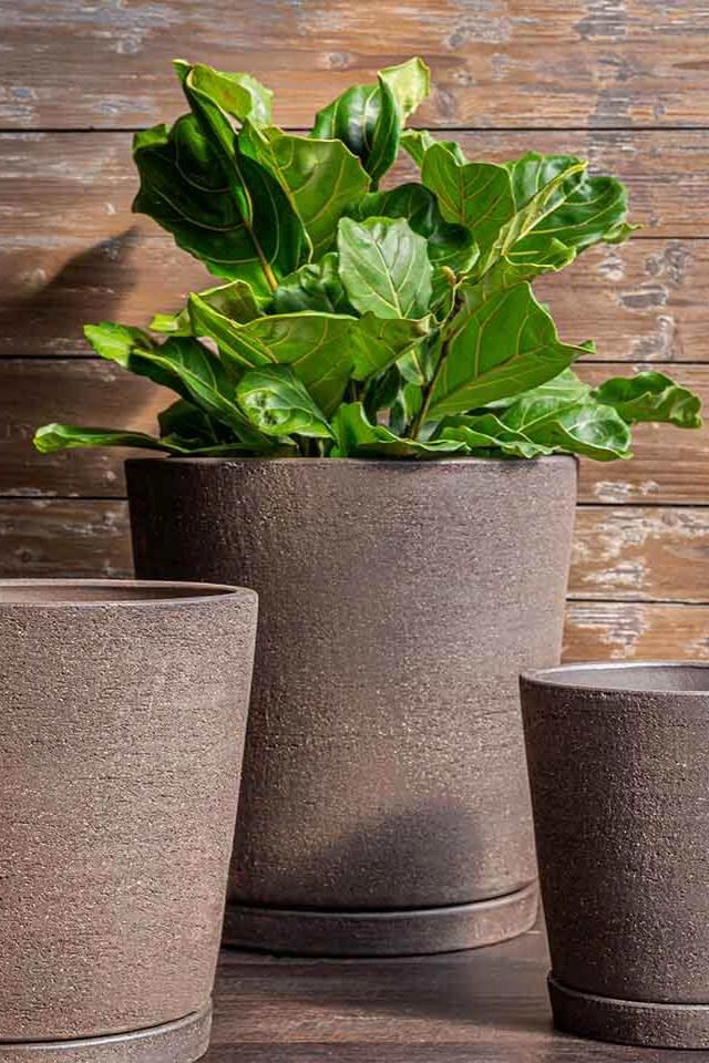 I/O Peat Tapered Planter Large