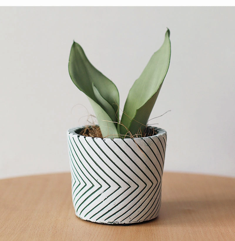 Imprint Painted Ceramic Planters