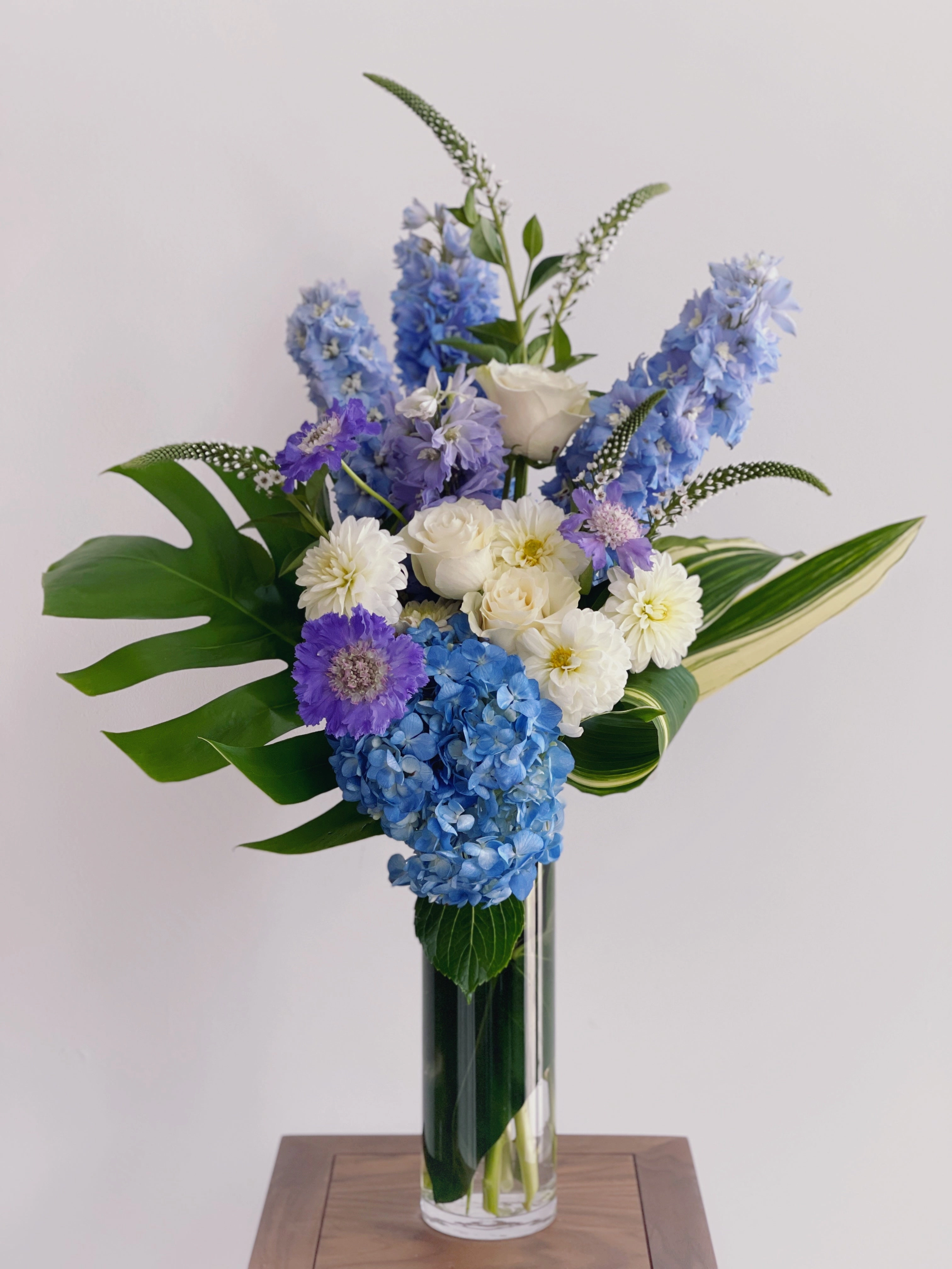 Indigo Mirage,romantic flower gift