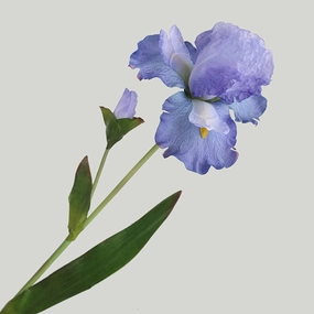 Iris 78cm Purple Artificial Silk Flower IRIS006,dried artificial flower