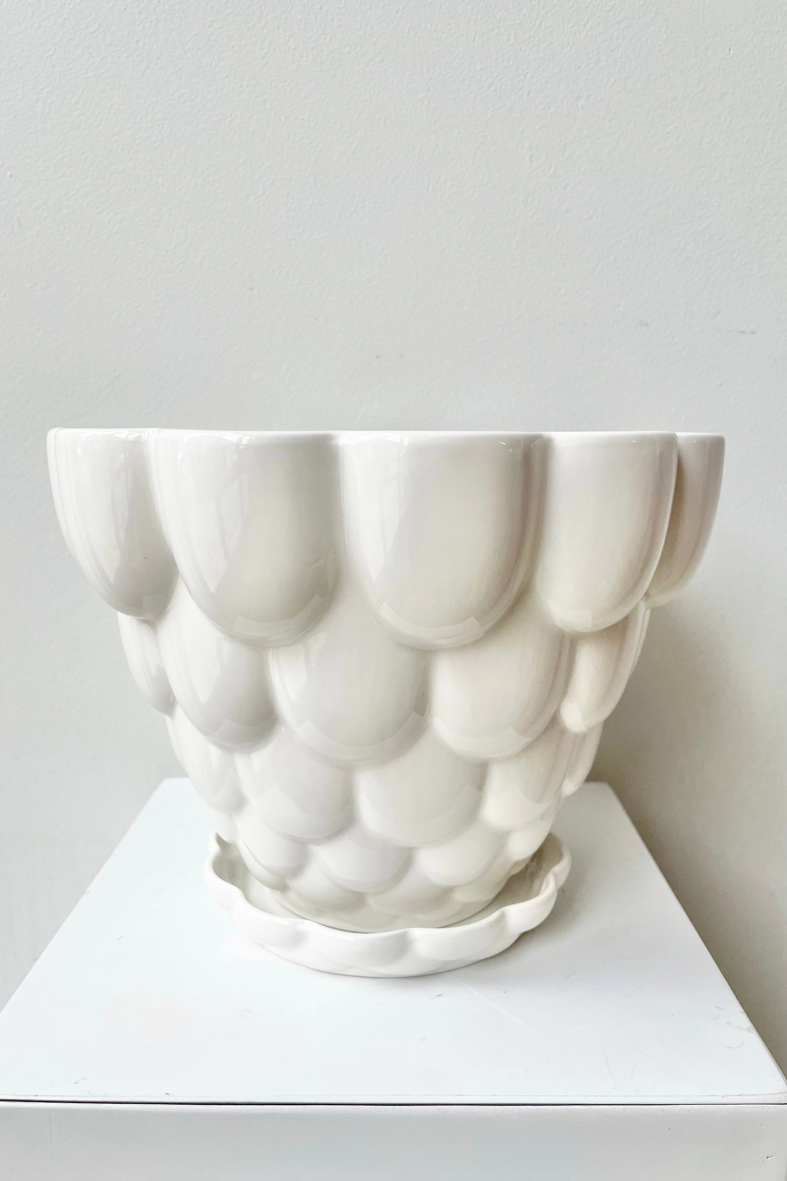 Jelly Planter White