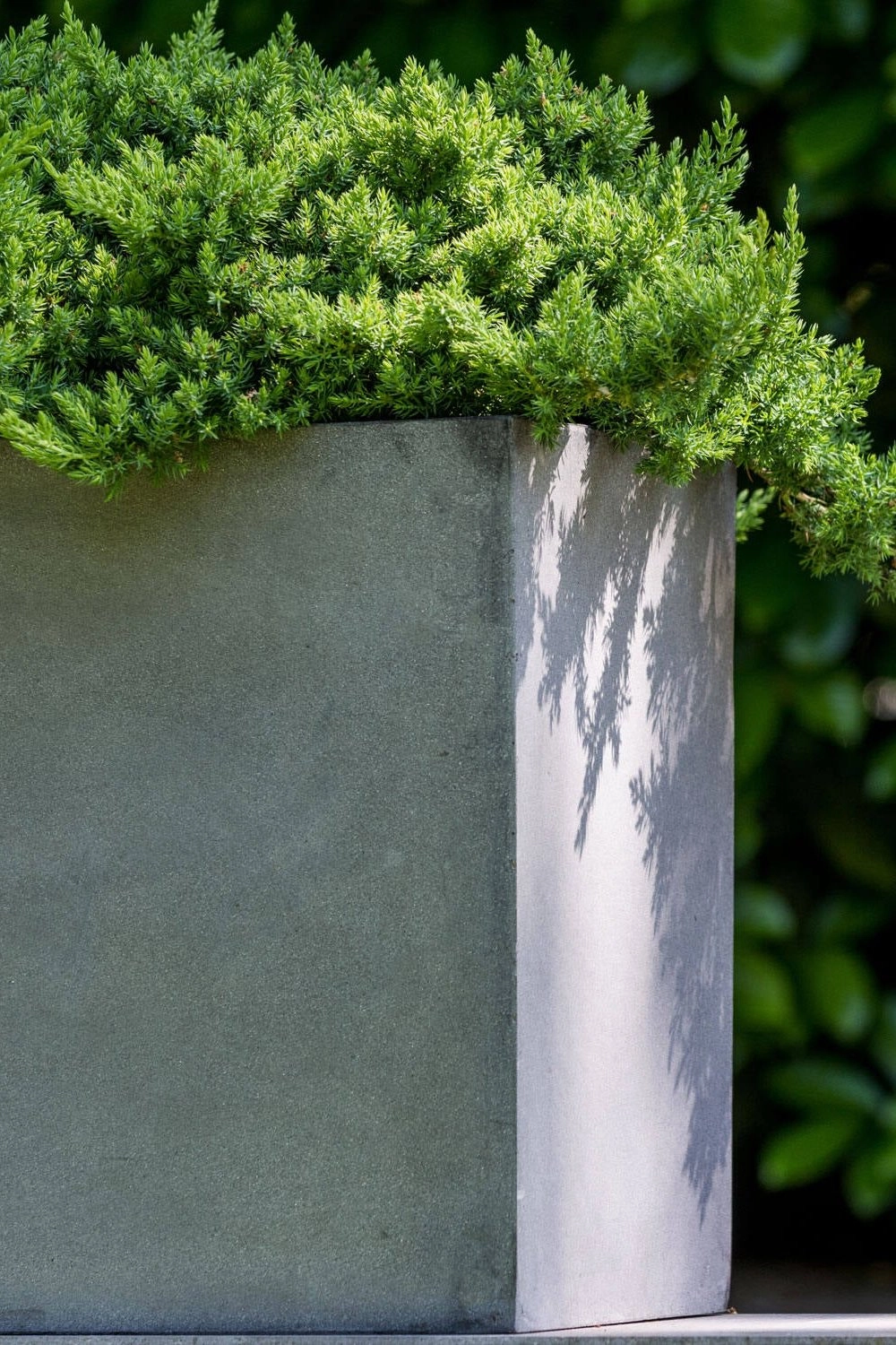 Jort Fiberstone Planter Grey Small