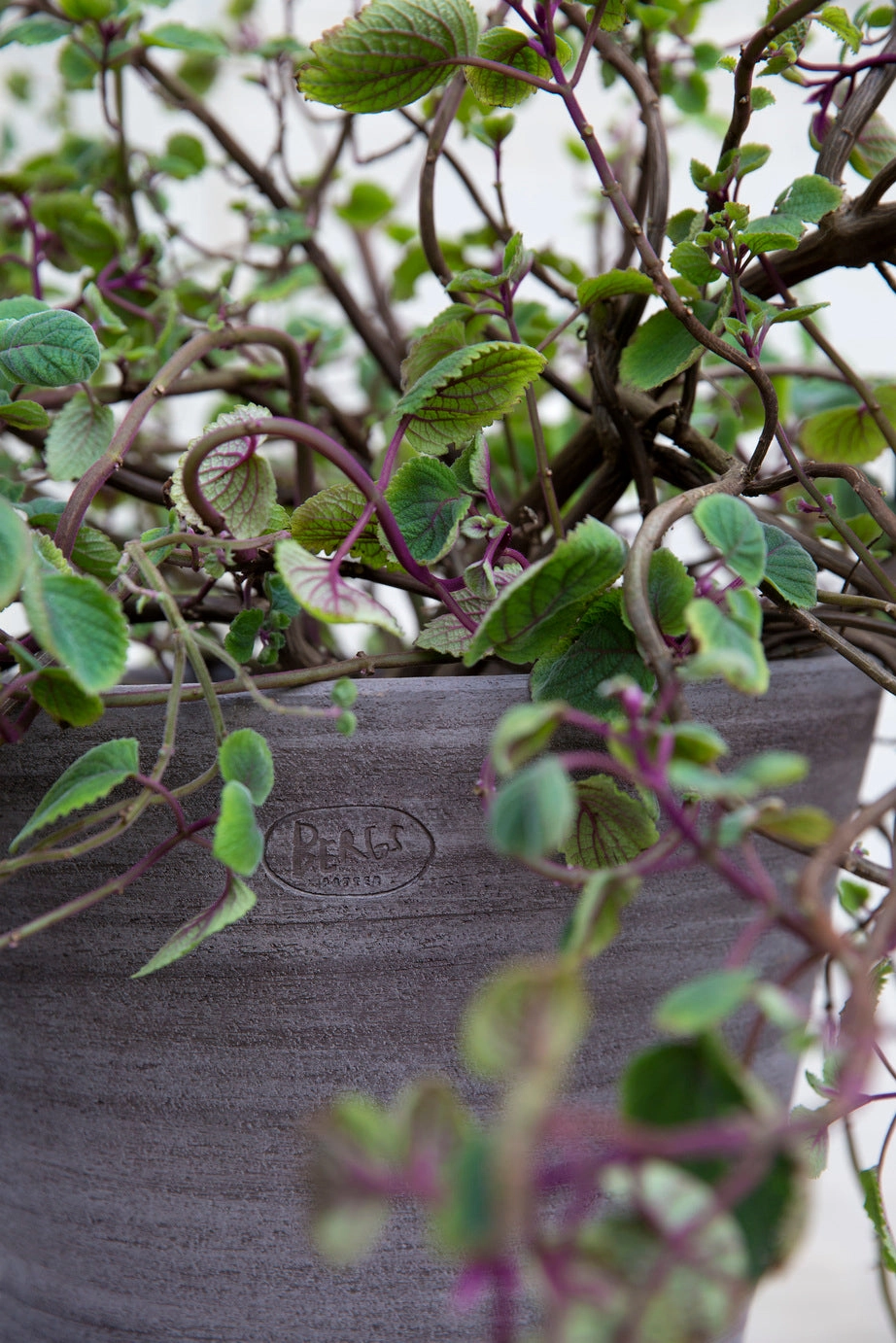 Julie Pot & Saucer Grey 17.7