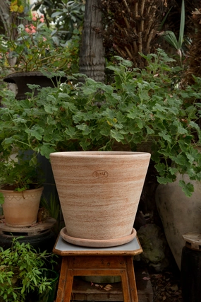 Julie Pot & Saucer Rosa 11.8,indoor flower container