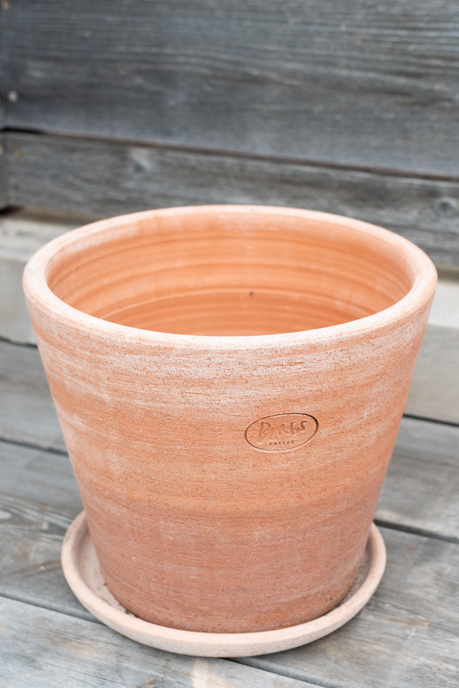 Julie Pot & Saucer Rosa 11.8