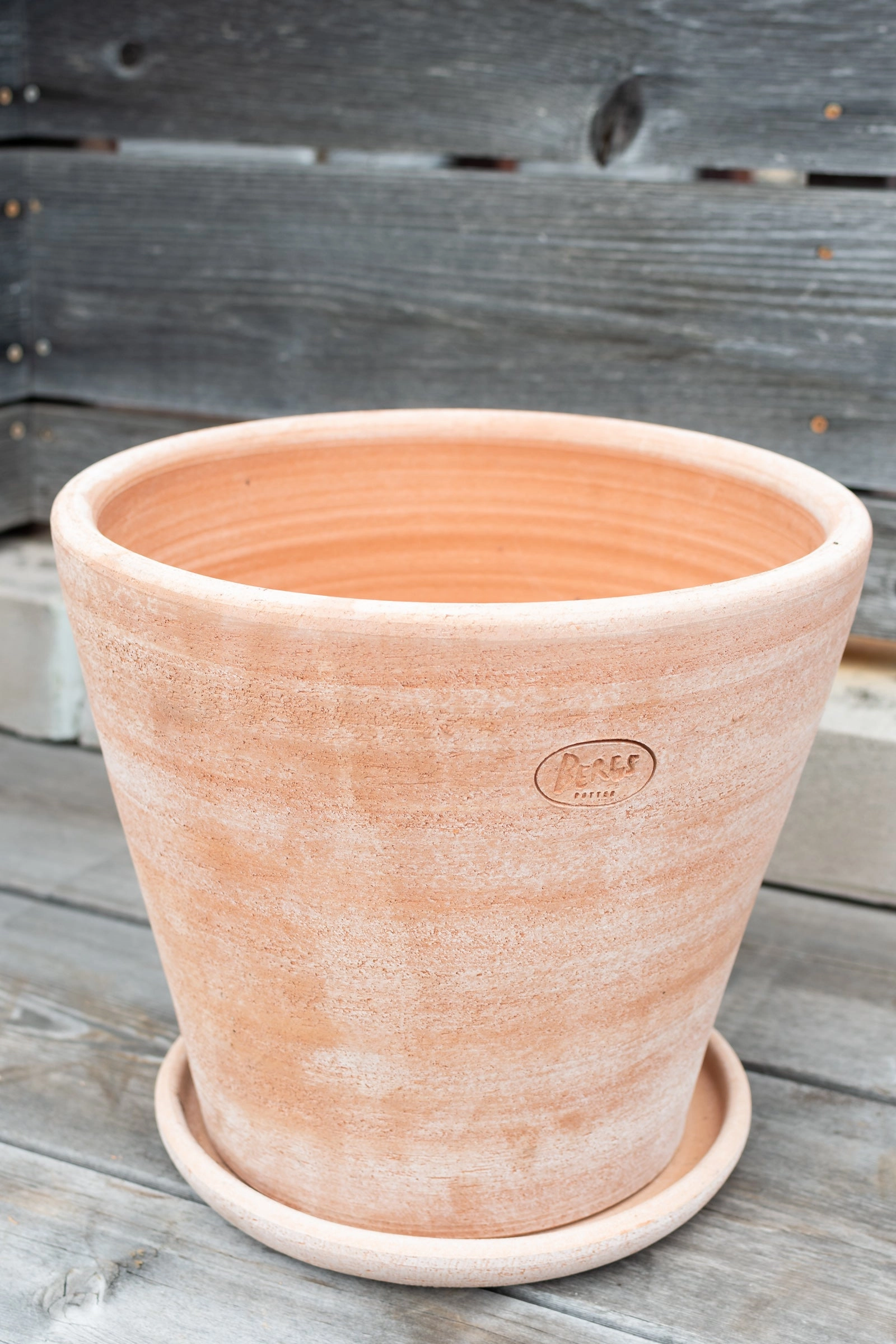 Julie Pot & Saucer Rosa 13.8