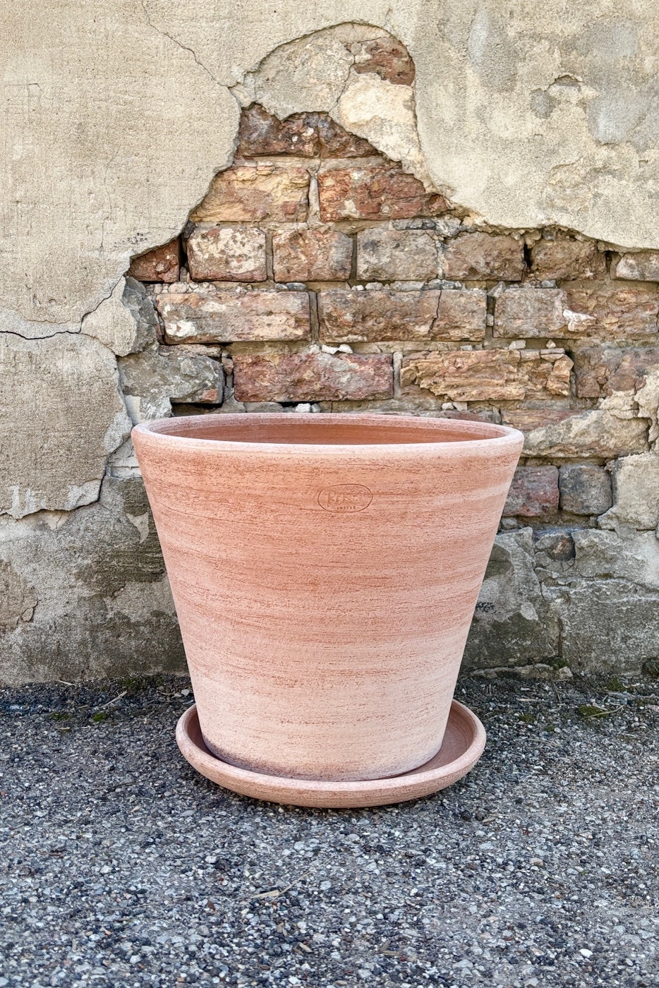 Julie Pot & Saucer Rosa 15.7