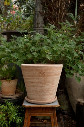 Julie Pot & Saucer Rosa 15.7,indoor flower container