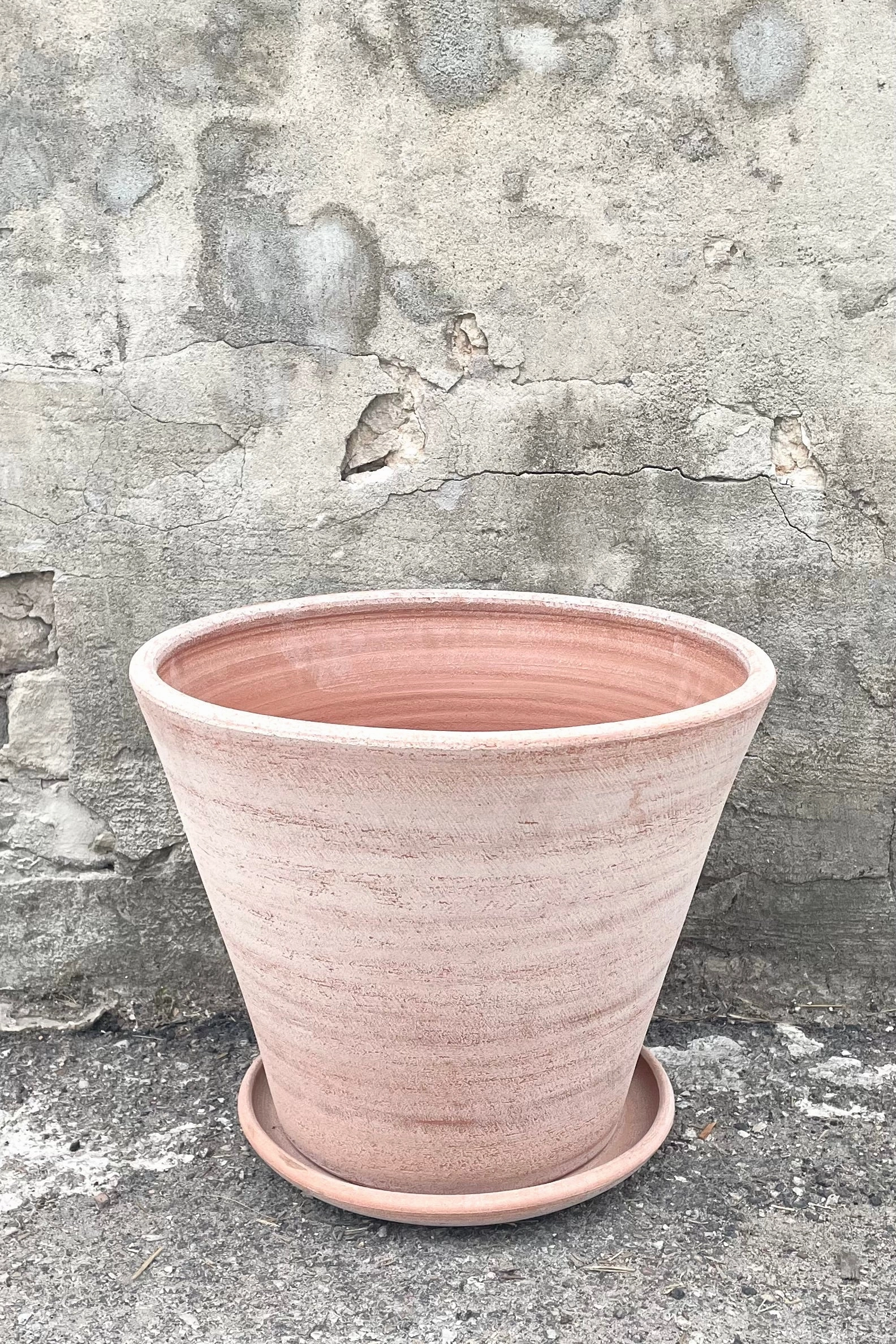 Julie Pot & Saucer Rosa 17.7