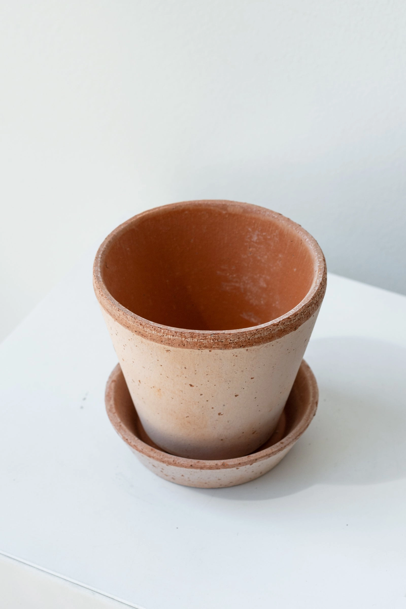 Julie Pot & Saucer Rosa 3.9