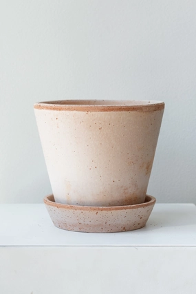 Julie Pot & Saucer Rosa 5.5,indoor flower container