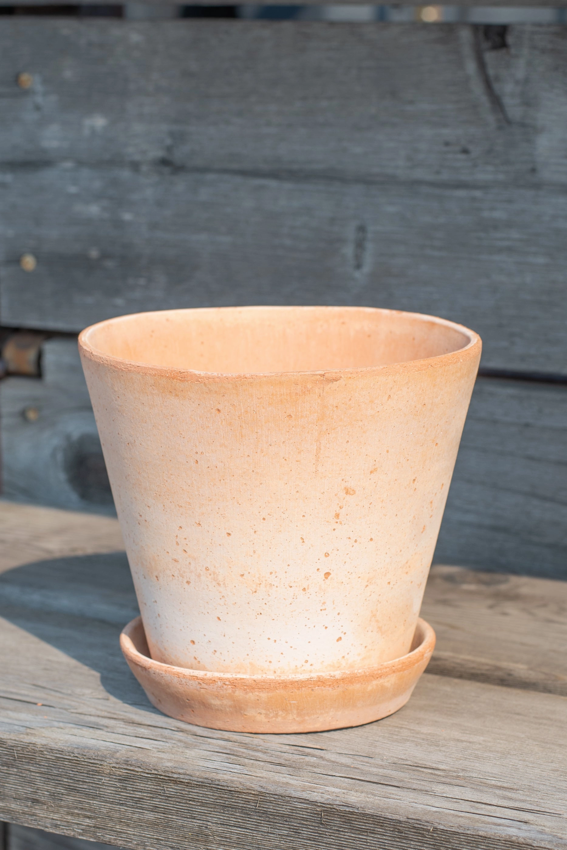 Julie Pot & Saucer rosa 6.7