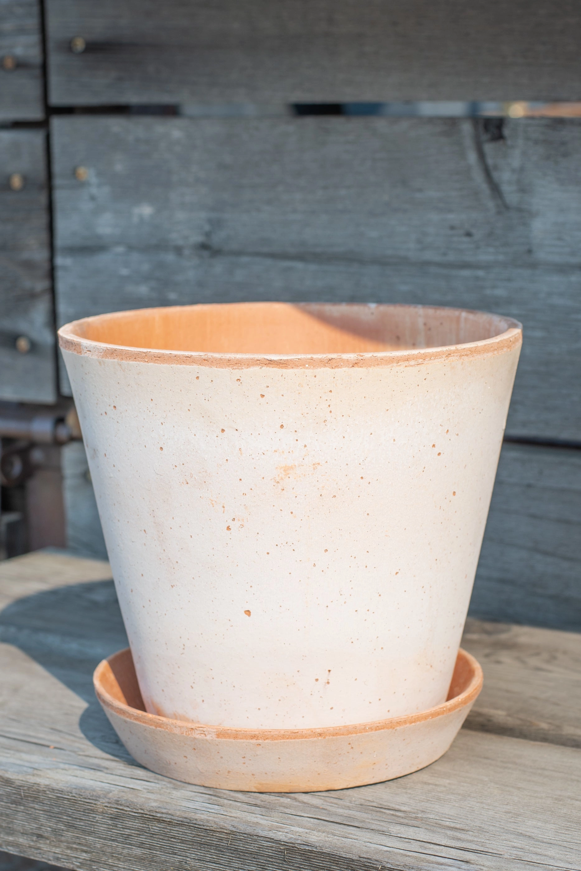 Julie Pot & Saucer Rosa 8.3