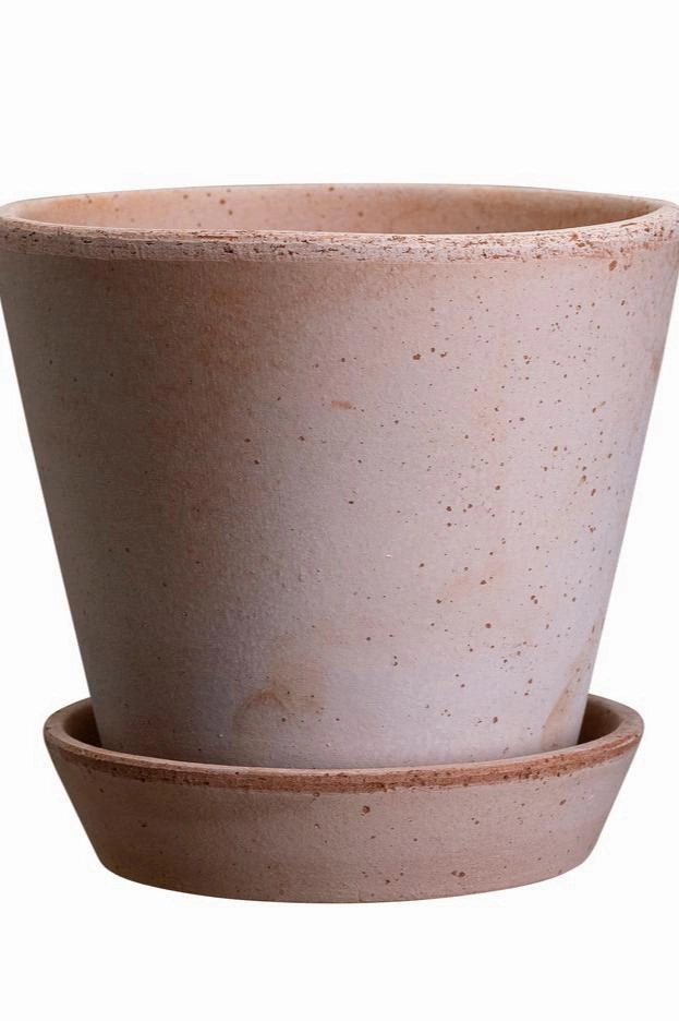 Julie Pot & Saucer rosa 9.8"