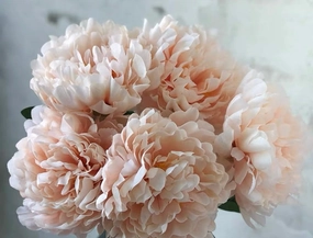Jumbo Open 5 Head Peony Bunch Blush realistic flower bouquet  