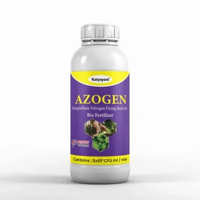 Katyayani Azogen | Azospirillium Nitrogen Fixing Bio Fertilizer,potted plant decor