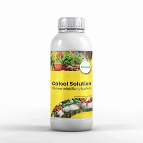Katyayani Calsol (calcium solubilizing bacteria) | Bio fertilizer,potted plant decor