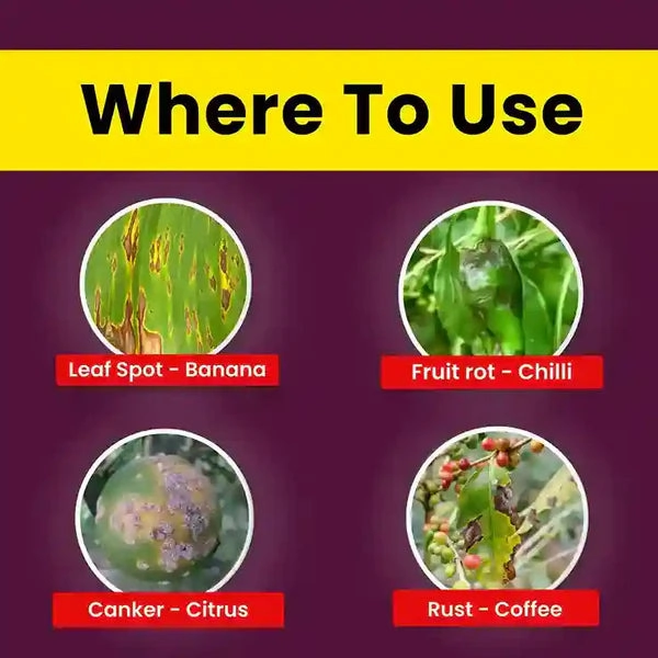 Katyayani COC 50 | Copper Oxychloride 50% WP | fungicide