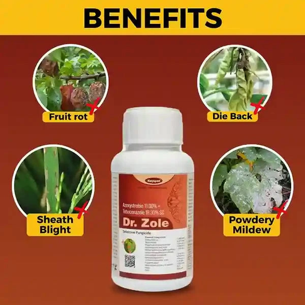 Katyayani Dr. Zole | Azoxystrobin 11%   Tebuconazole 18.3% SC | Fungicide