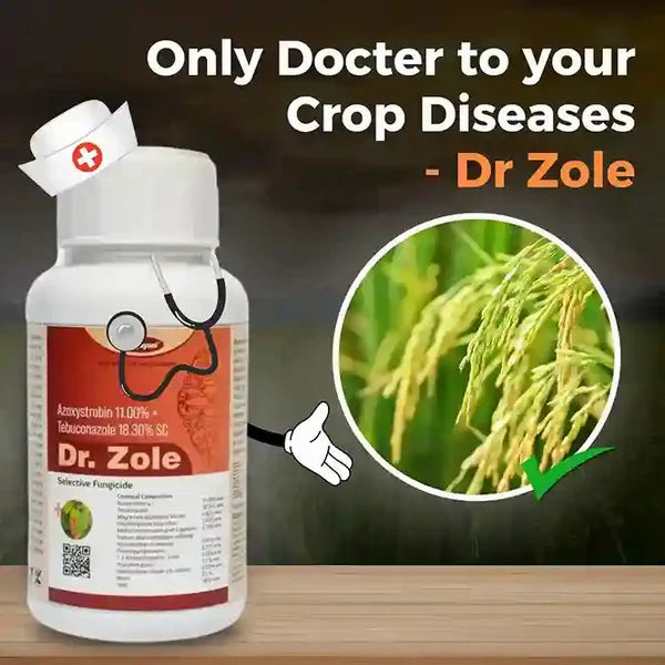 Katyayani Dr. Zole | Azoxystrobin 11%   Tebuconazole 18.3% SC | Fungicide