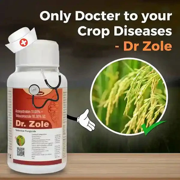 Katyayani Dr. Zole | Azoxystrobin 11%   Tebuconazole 18.3% SC | Fungicide