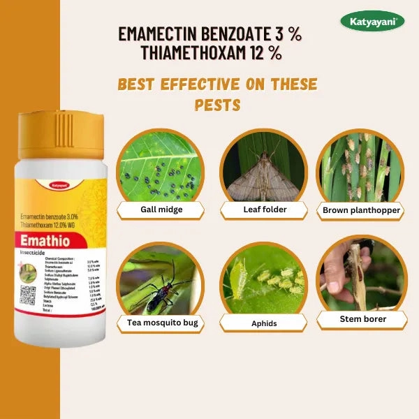 KATYAYANI EMATHIO | EMAMECTIN BENZOATE 3%   THIAMETHOXAM 12% WG | CHEMICAL INSECTICIDE