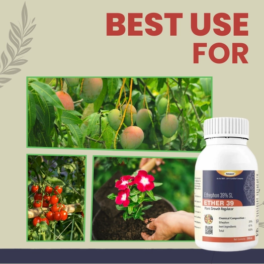 KATYAYANI ETHER 39 (Ethephon 39% SL) | Plant Growth Regulator