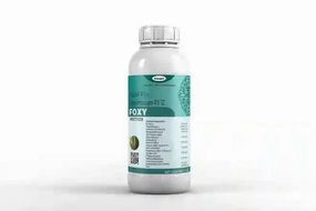 KATYAYANI FOXY (Fipronil 4%   Thiomethoxam 4% SC) | Insecticide,potted plant decor