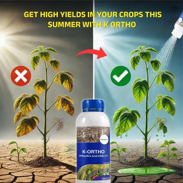 Katyayani K-Ortho Orthosilicic Acid (OSA) 2 % | Plant Growth Regulator