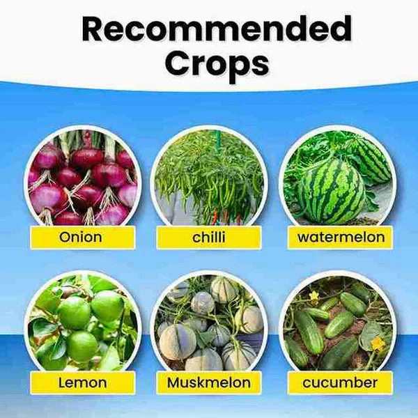 Katyayani K-Ortho Orthosilicic Acid (OSA) 2 % | Plant Growth Regulator