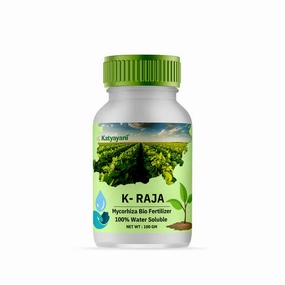 KATYAYANI K-RAJA (MYCORRIZA),potted plant decor