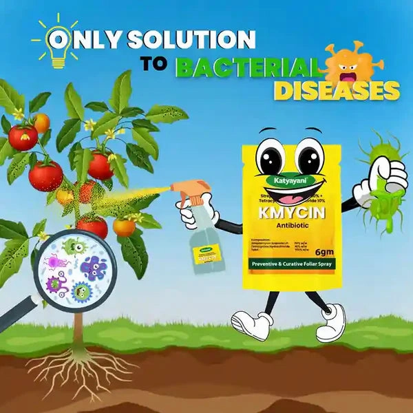 Katyayani KMYCIN | Streptomycin Sulphate 90%   Tetracycline Hydrochloride 10% | fungicide