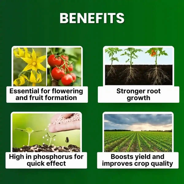 Katyayani NPK 12 61 00 | Fertilizer
