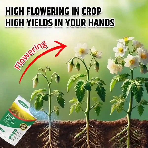 Katyayani NPK 12 61 00 | Fertilizer