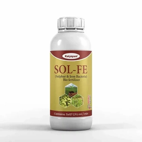 Katyayani SOL-FE | Sulphur & Iron Bacteria Bio Fertilizer,potted plant decor