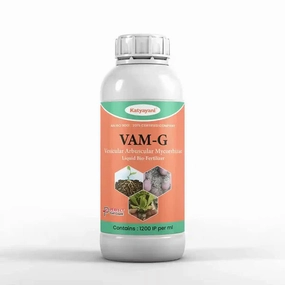 Katyayani VAM-G | Vesicular Arbuscular Mycorrhiza Bio Fertilizer,potted plant decor