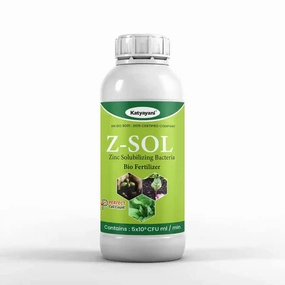 Katyayani Z-SOL | Zinc Solubiilizing Bacteria Bio Fertilizer,potted plant decor