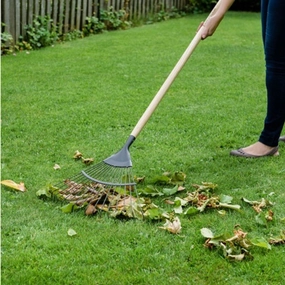 Kent and  Stowe Long Leaf Rake,garden field mower
