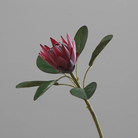 King Protea Artificial Flowers Stem PROTEA0001-0003,dried artificial flower